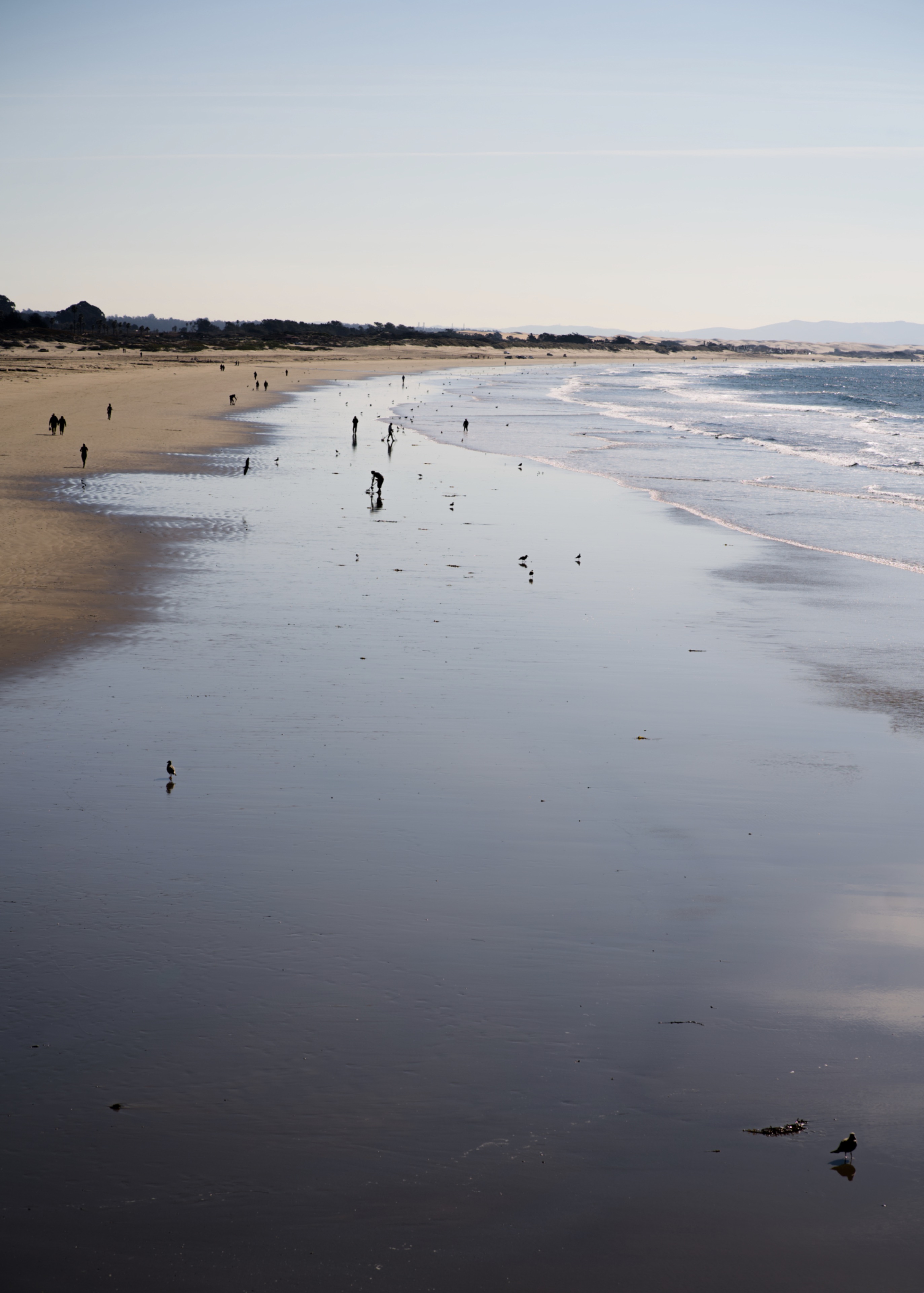 Pismo Beach