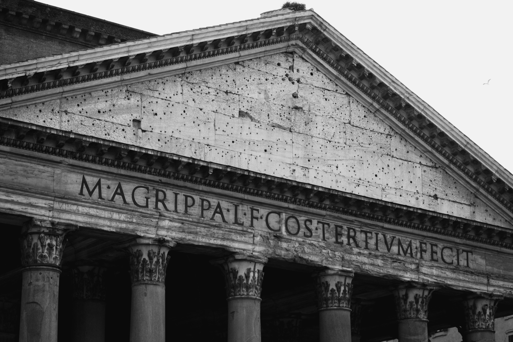 Magrippalfcostertivmfecit