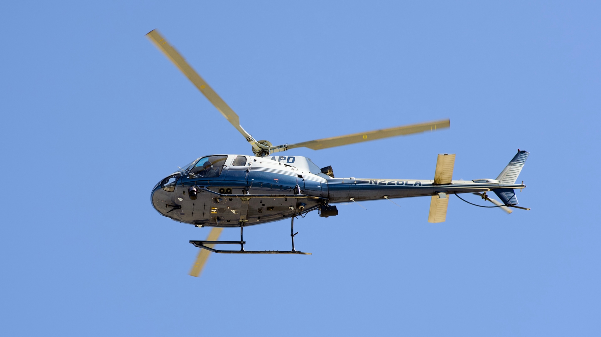 LAPD