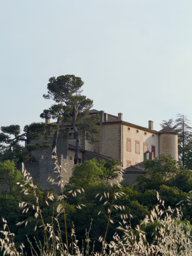 Château de Vauvenargues