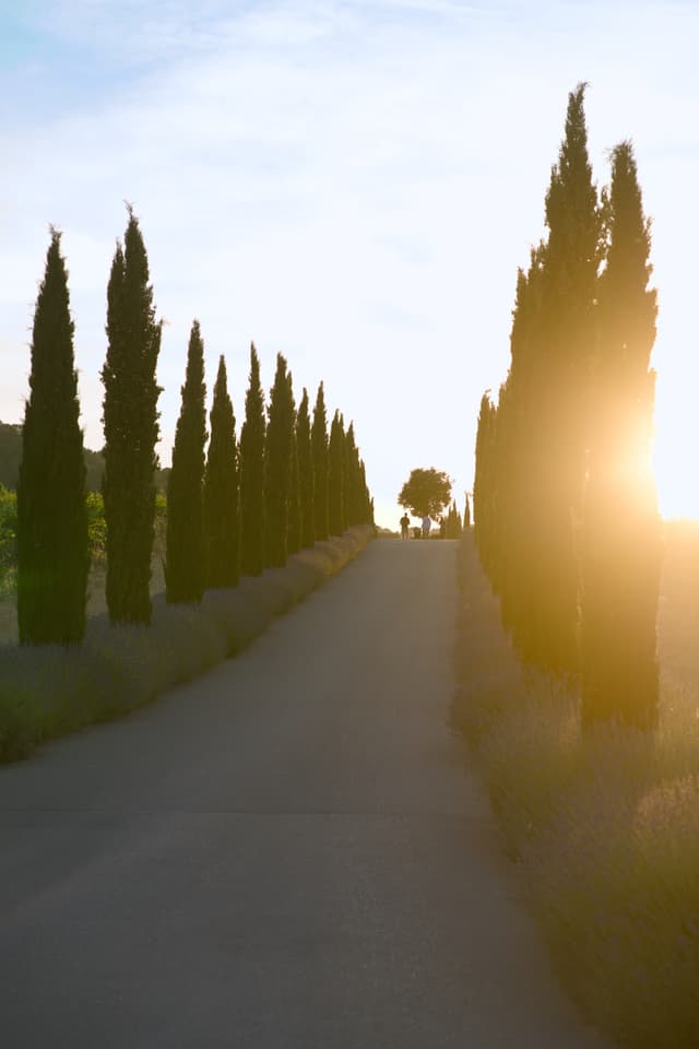 Château La Coste
