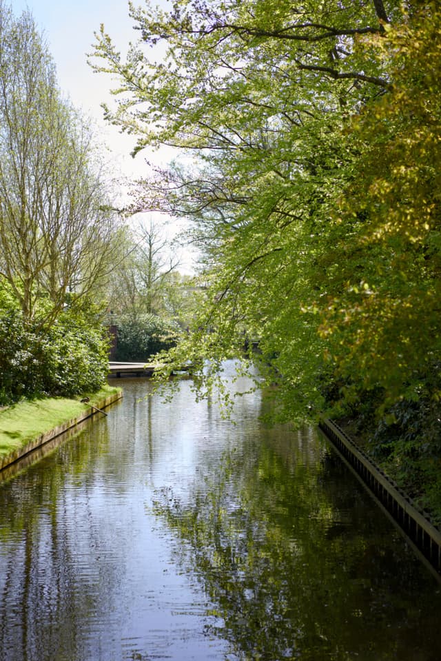 Keukenhof