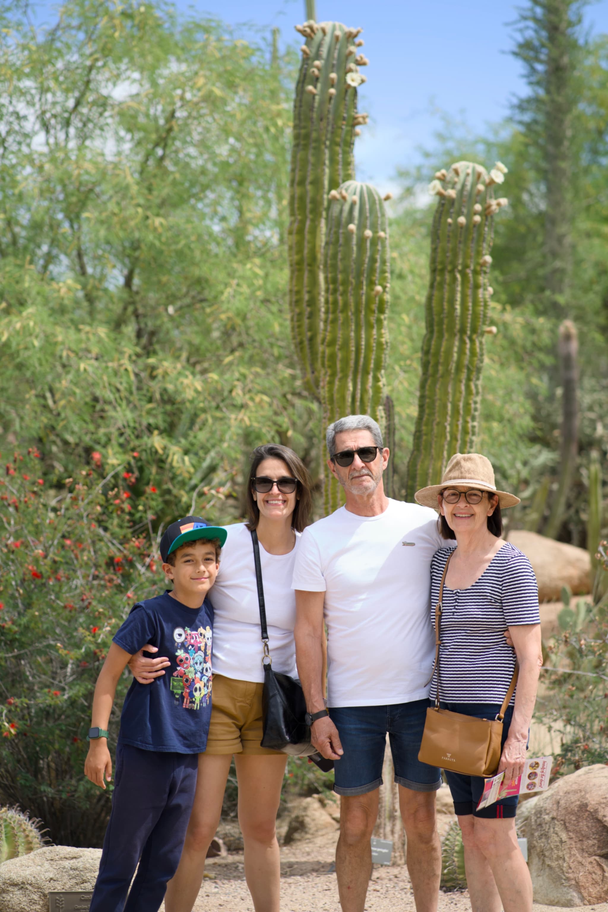 Desert Botanical Garden