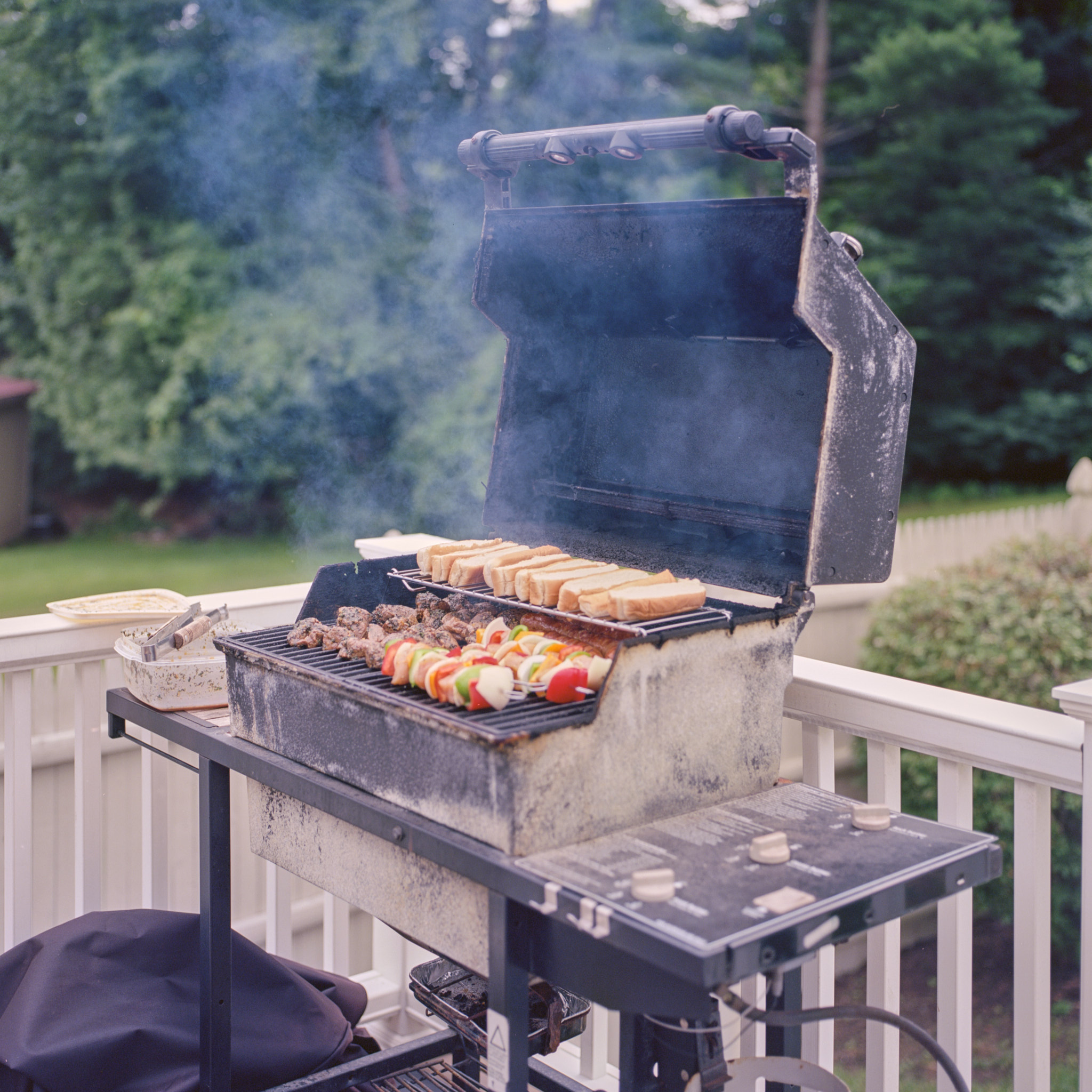 BBQ - Hasselblad - Hasselblad 500 C/M - 80mm f2.8 CF