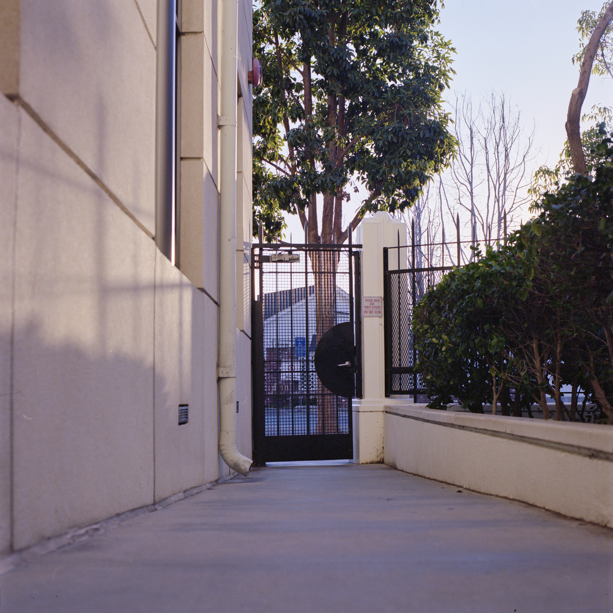 imageworks - Hasselblad - Hasselblad 500 C/M - 80mm f2.8 CF