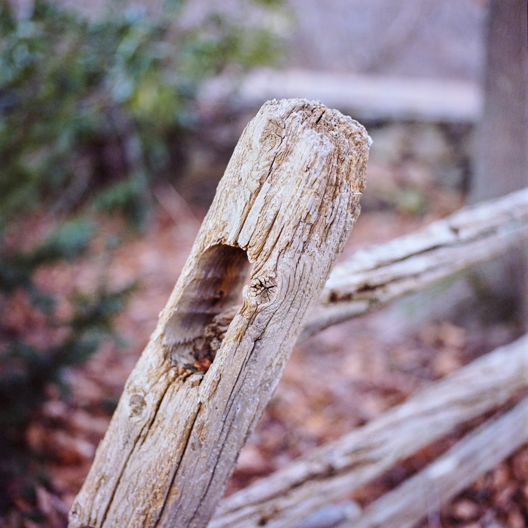 Hasselblad - Hasselblad 500 C/M - 80mm f2.8 CF