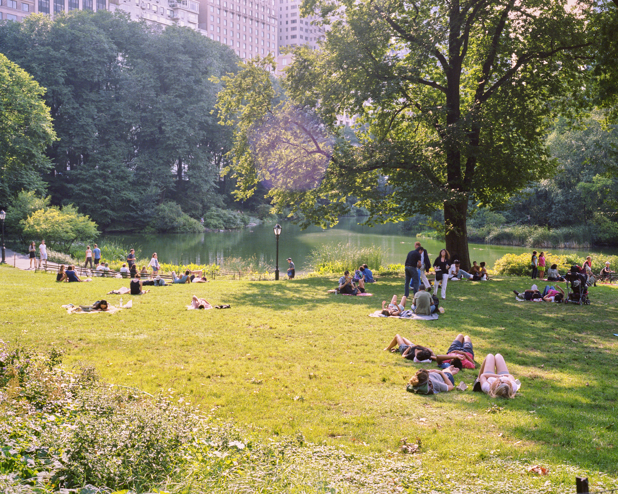 Saturdays = Youth - Mamiya - Mamiya 7II