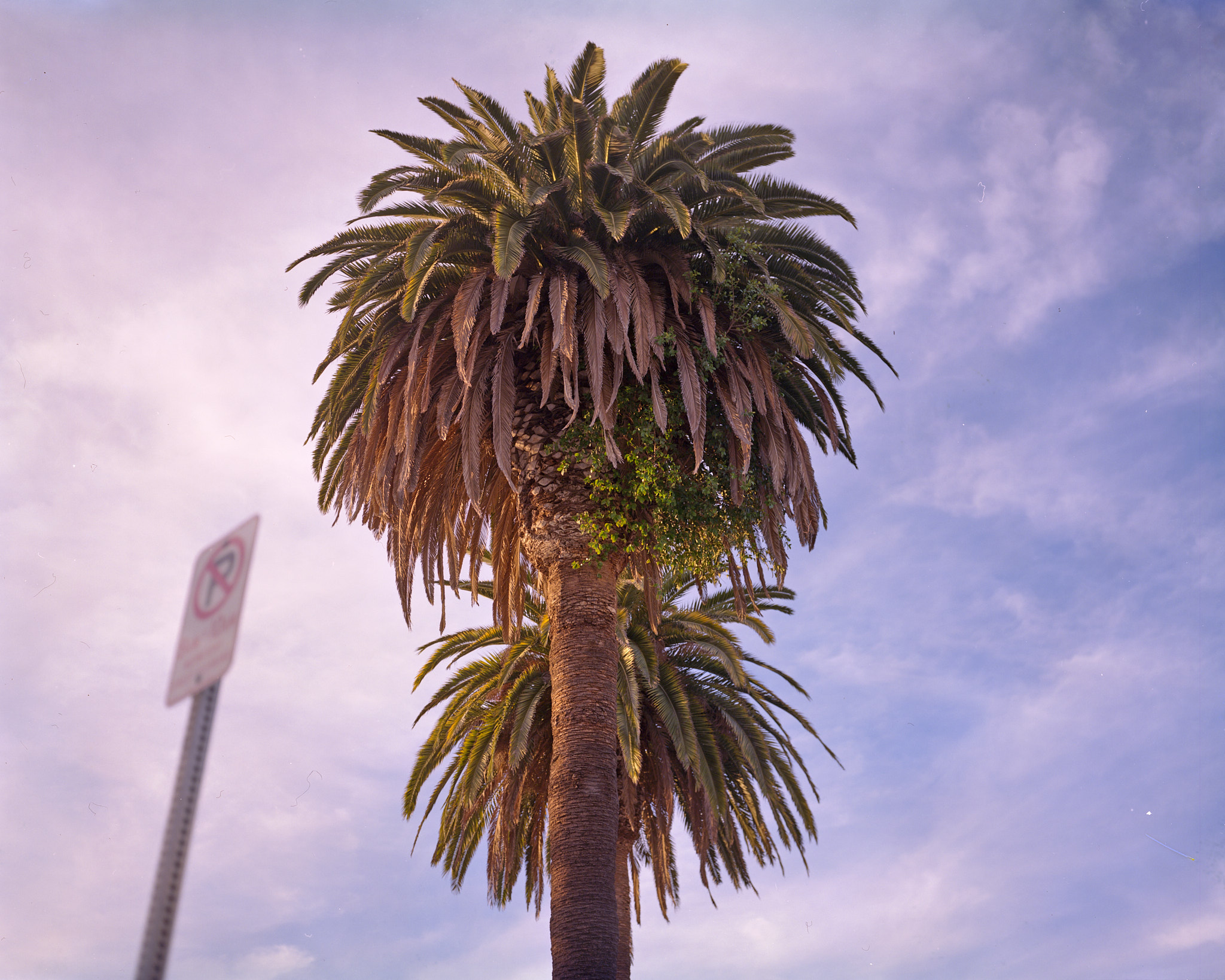 Graflex - Graflex Crown Graphic