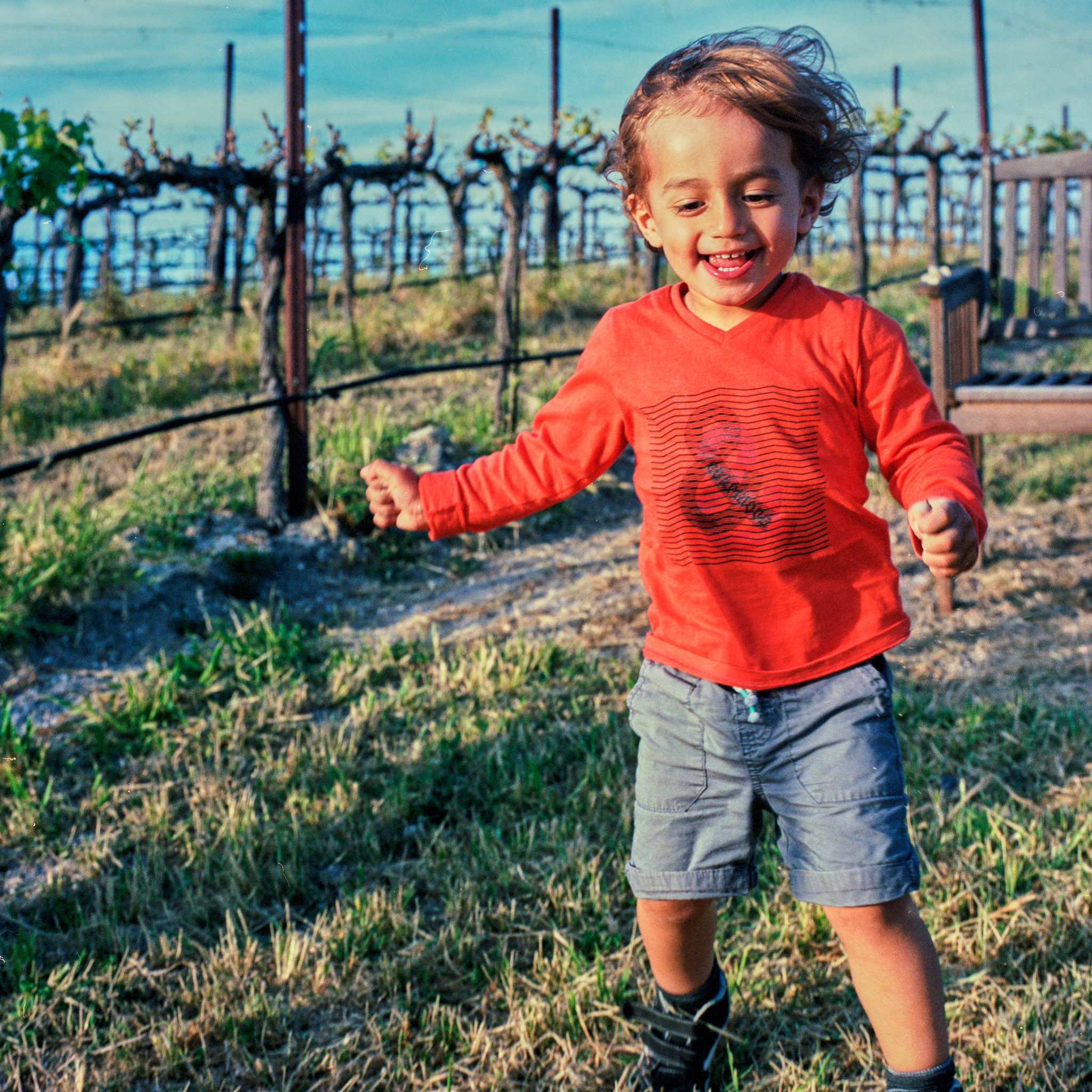 Flynn - Hasselblad - Hasselblad 500 C/M - 80mm f2.8 CF