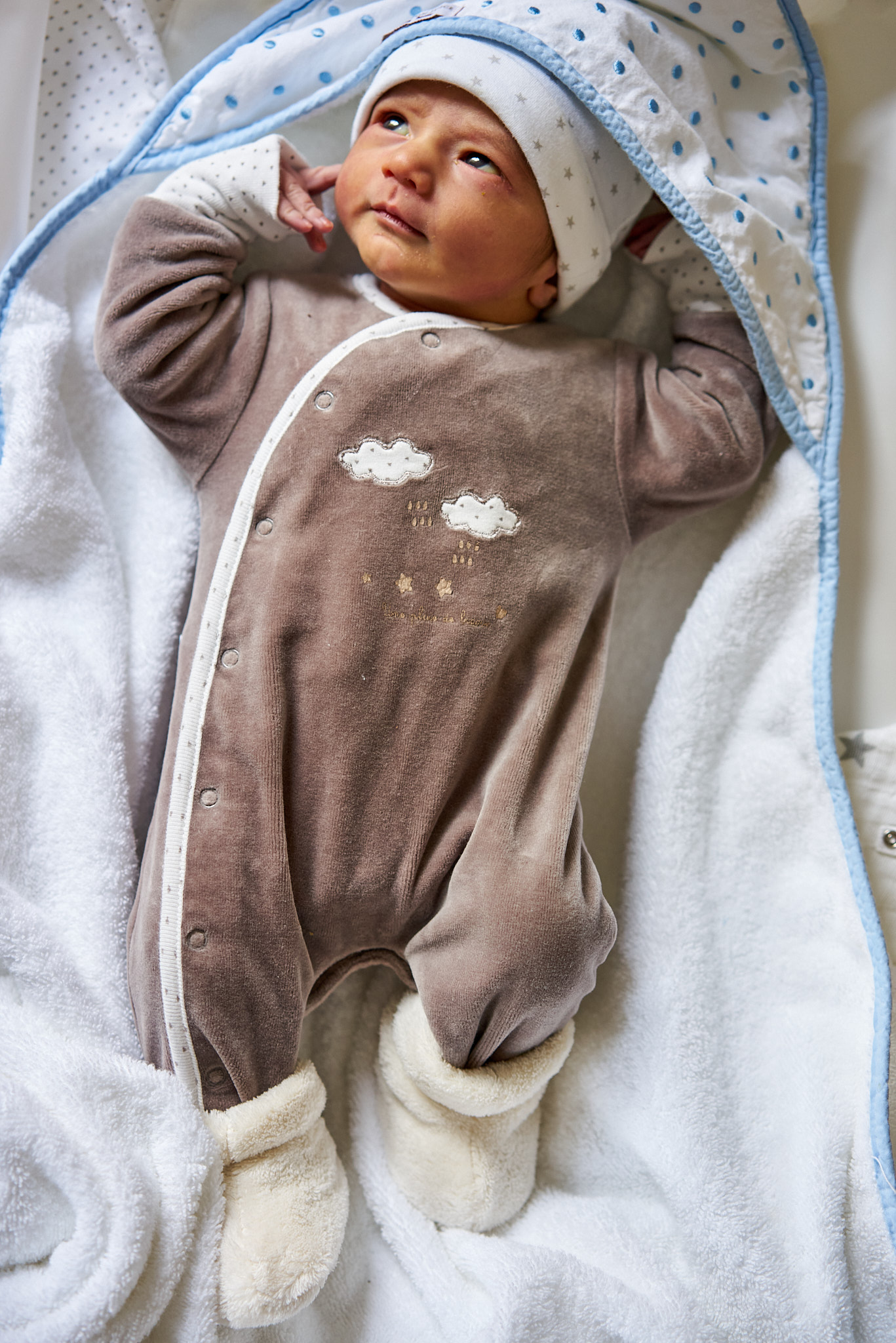 Flynn - SONY - SONY ILCE-7R - FE 55mm F1.8 ZA