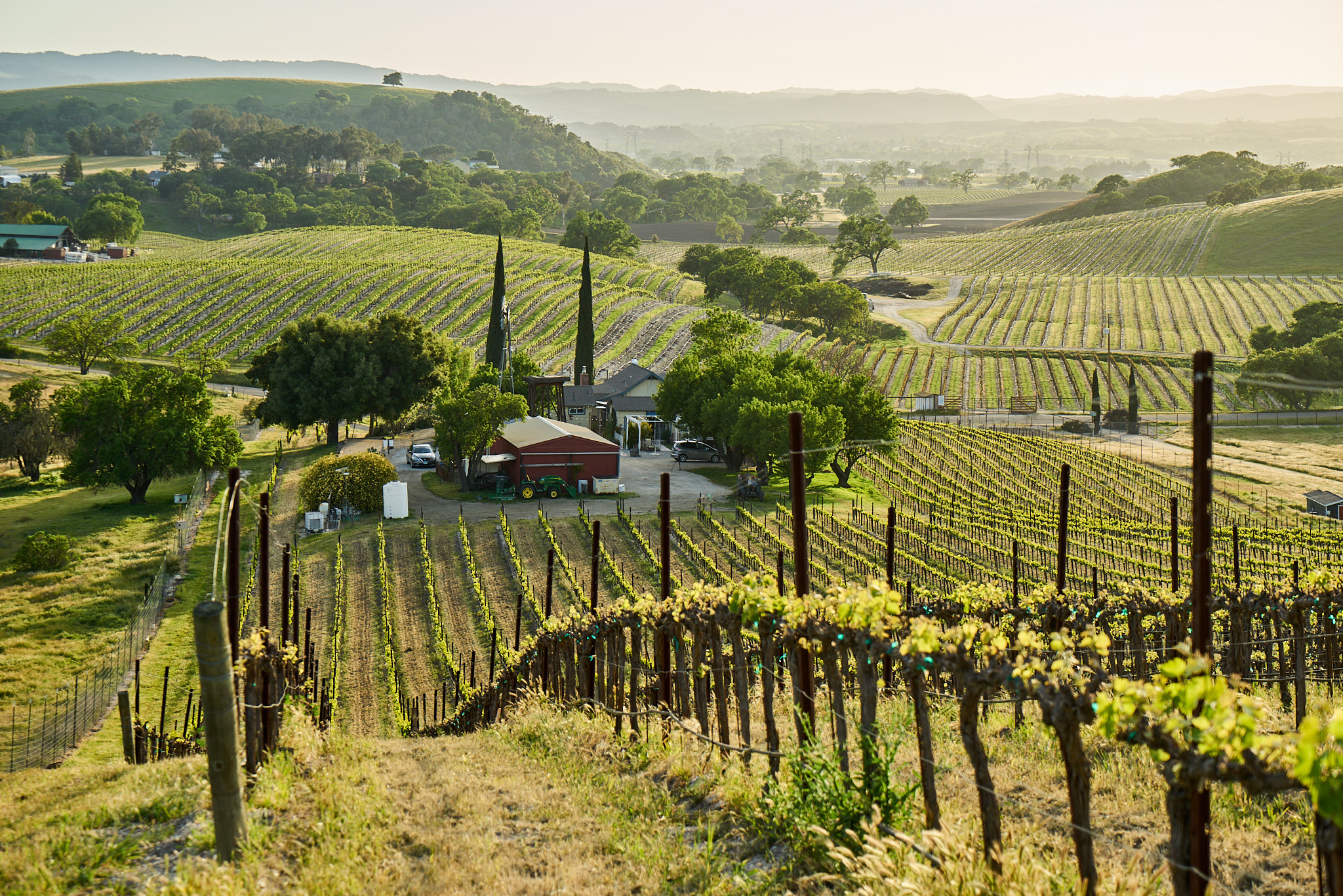 SONY - SONY ILCE-7R - FE 24-70mm F4 ZA OSS