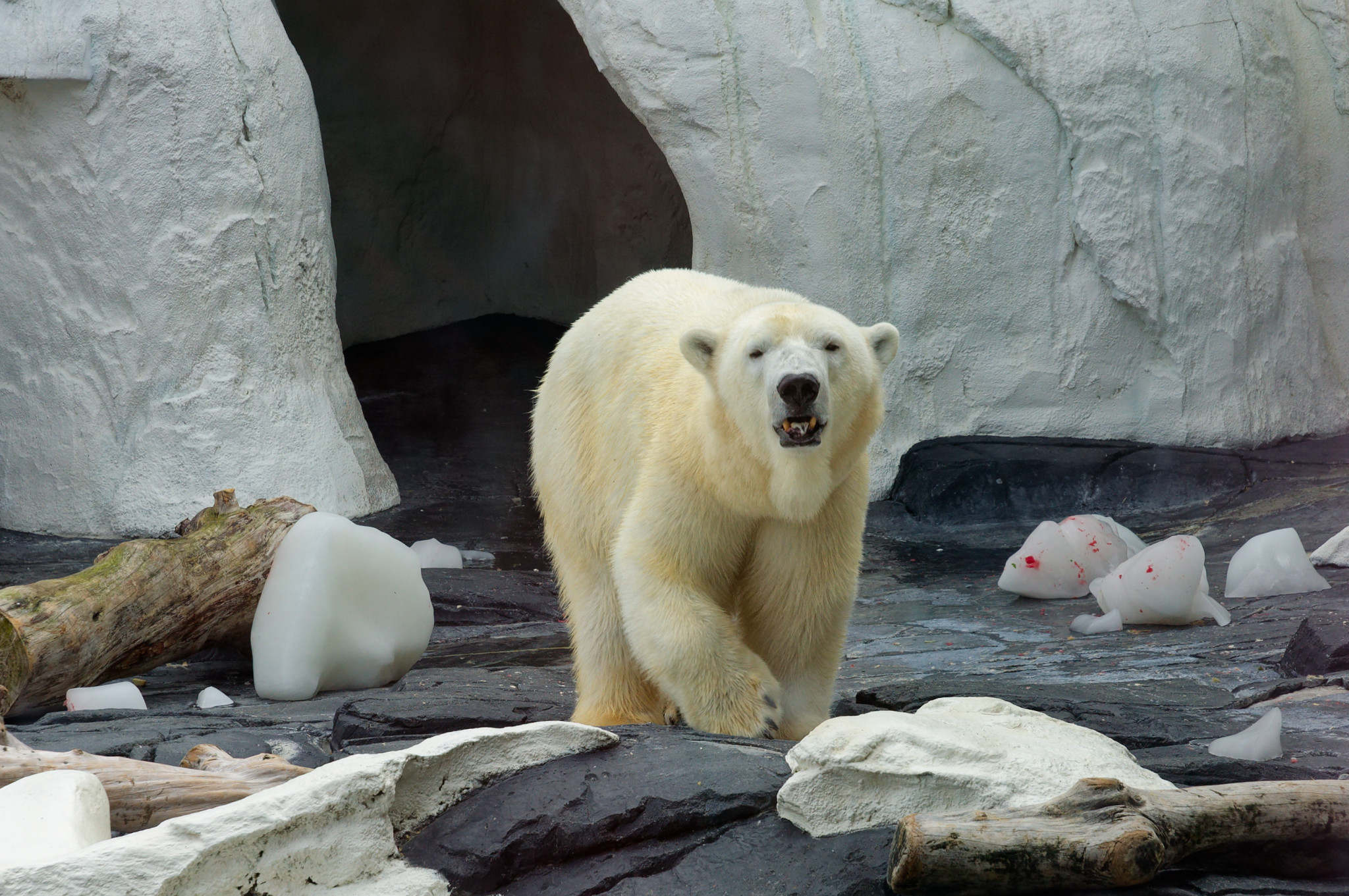 NIKON CORPORATION - NIKON D70