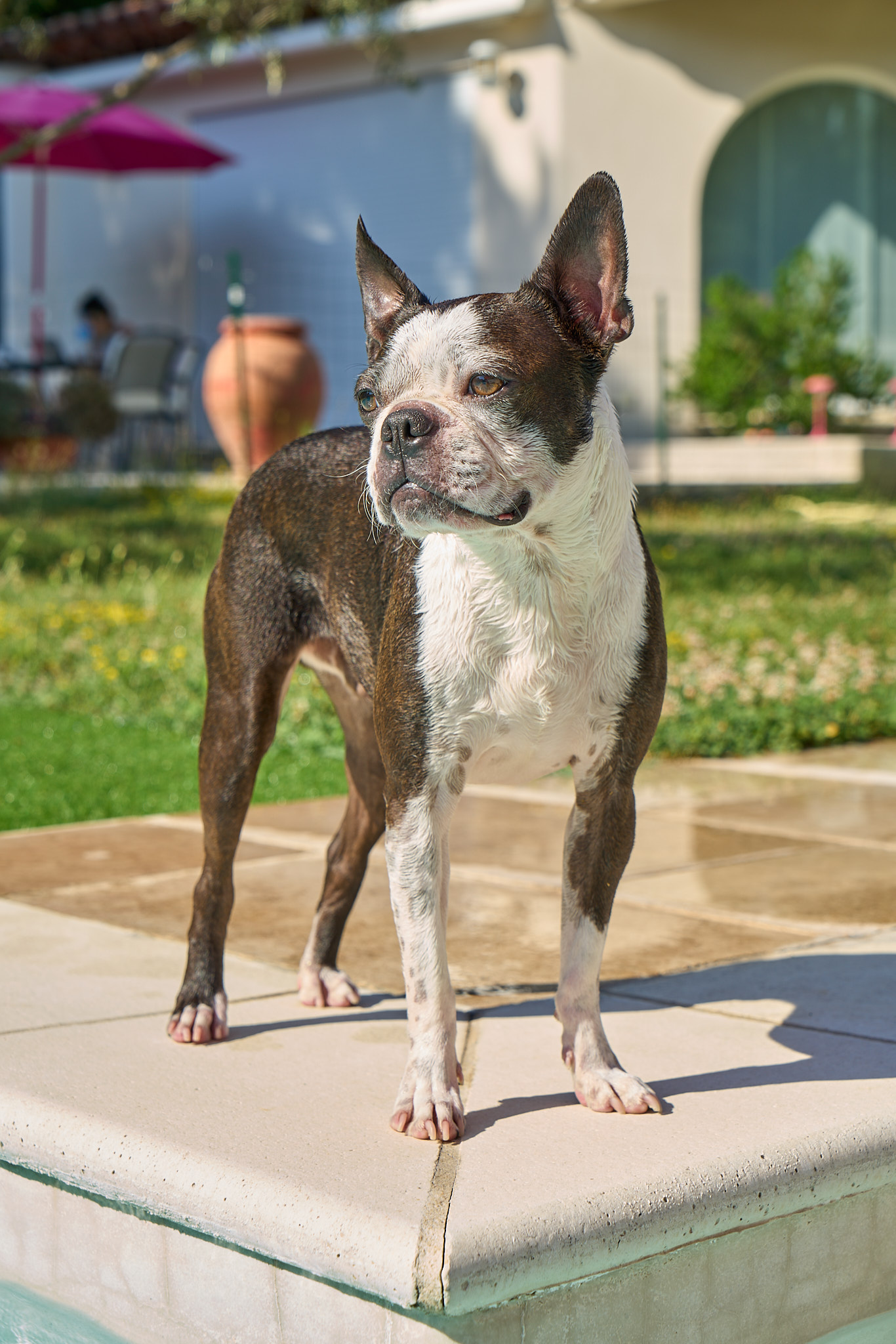 Bulli - SONY - SONY ILCE-7RM3