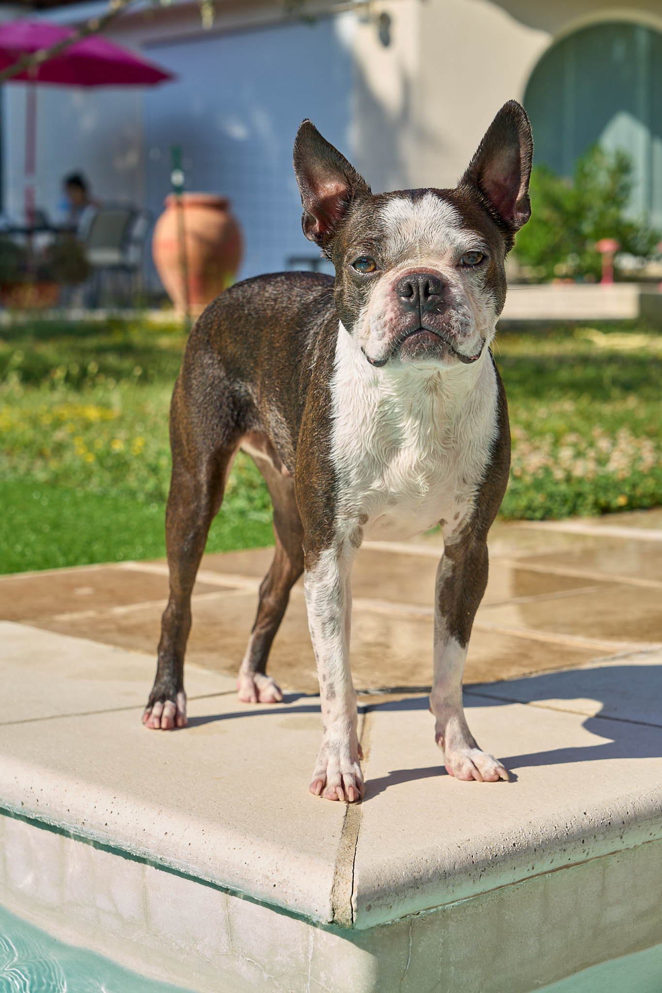 Bulli - SONY - SONY ILCE-7RM3