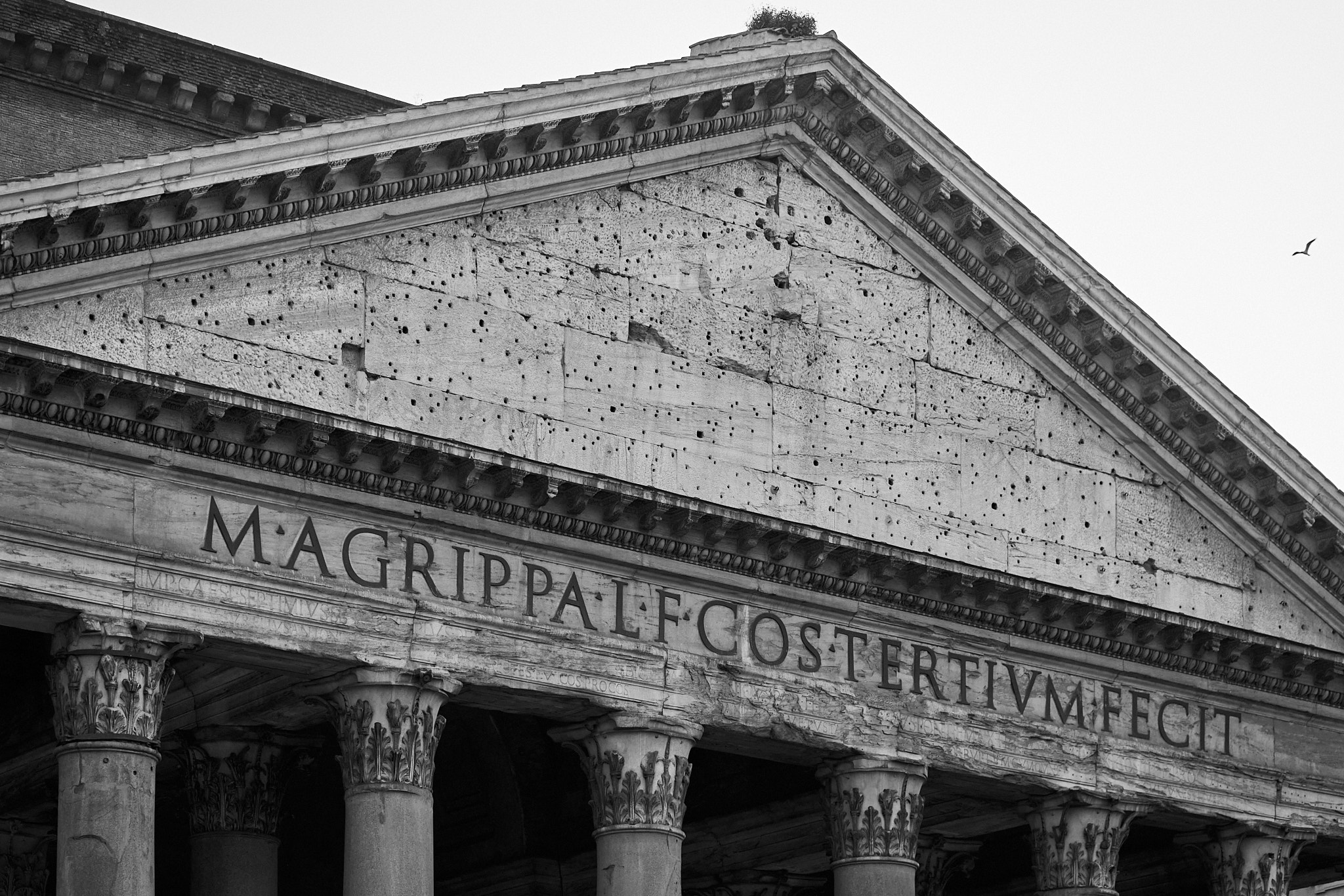 Magrippalfcostertivmfecit - SONY - SONY ILCE-7RM3