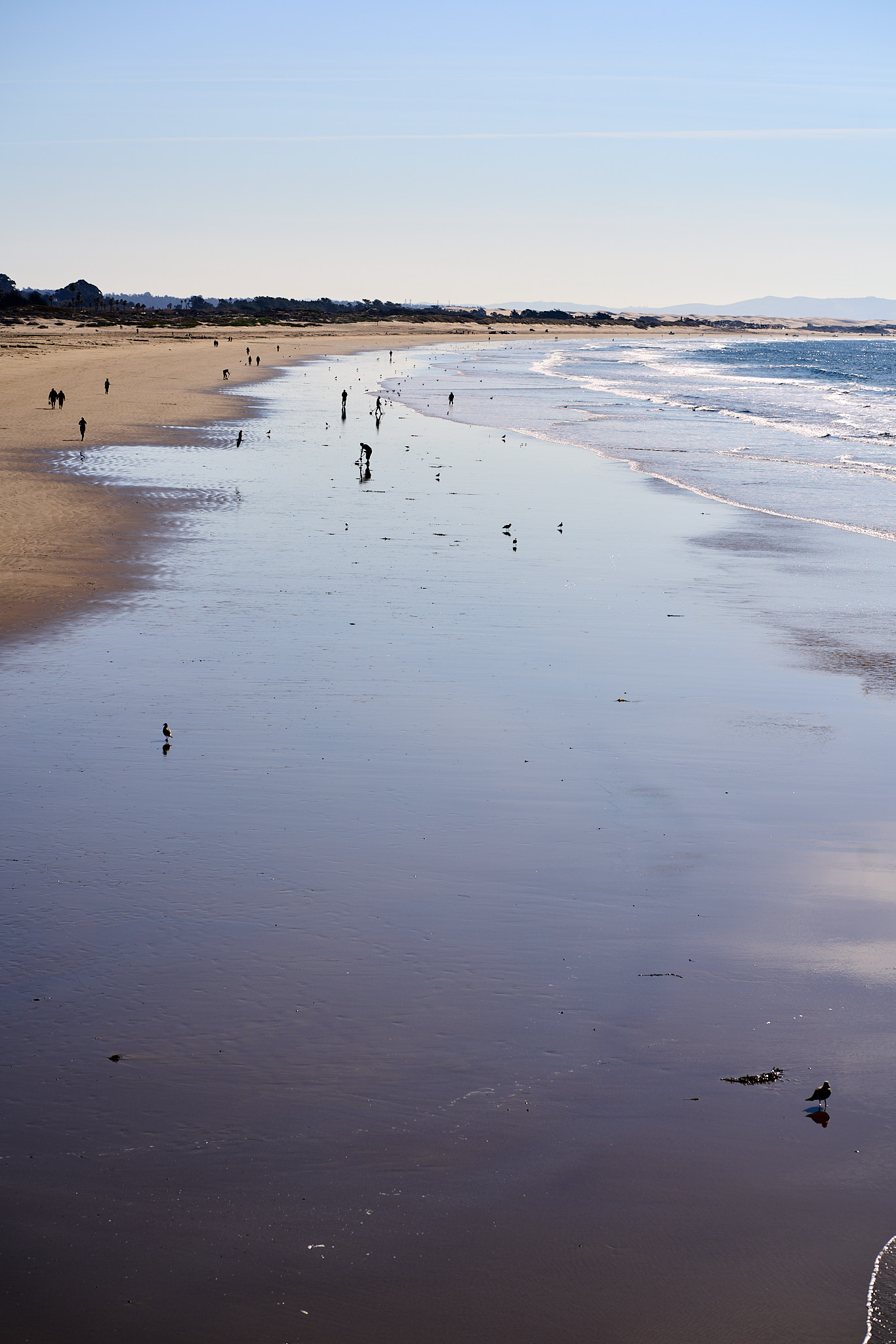 Pismo Beach - SONY - SONY ILCE-7RM3