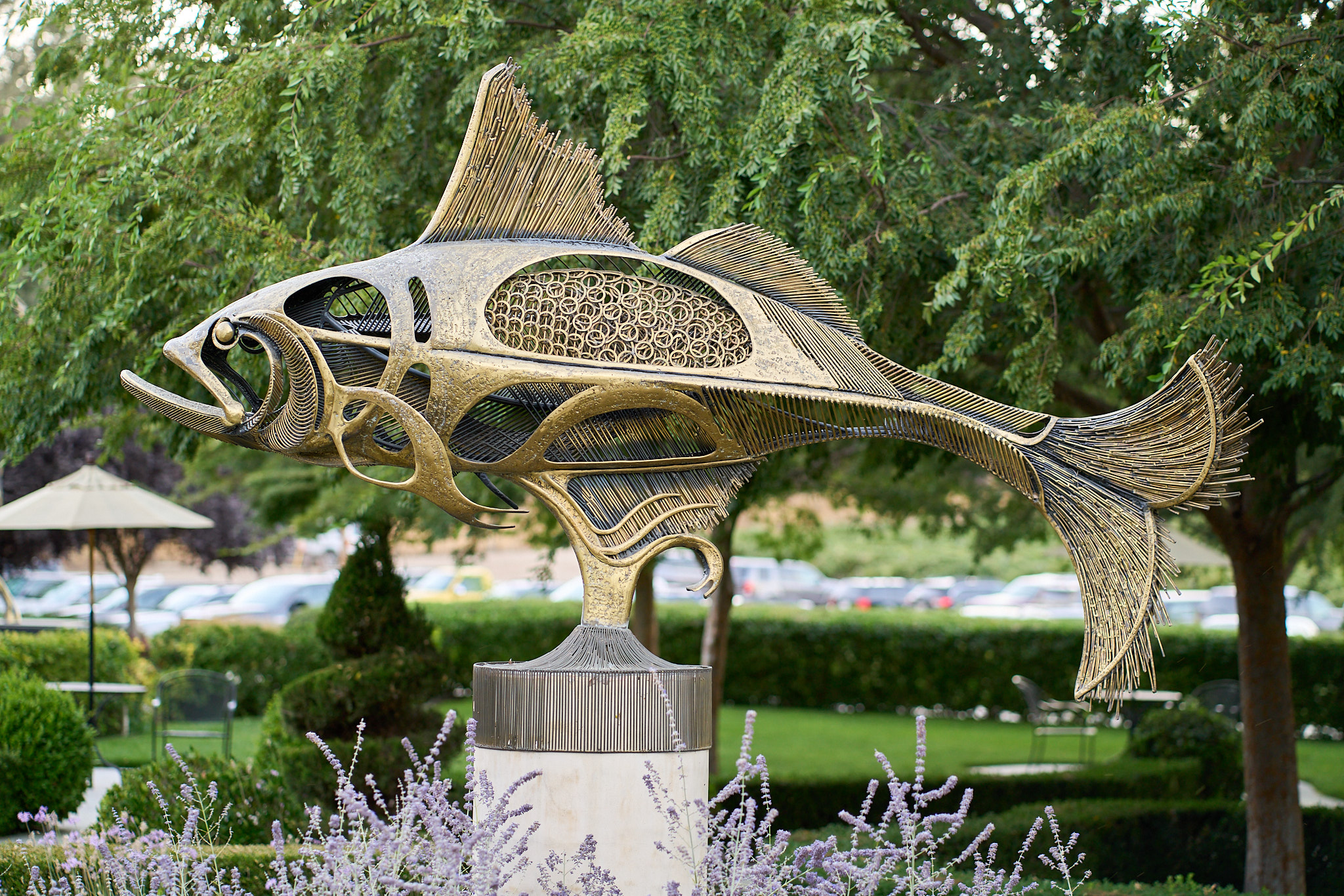 Sculpterra - SONY - SONY ILCE-7RM3