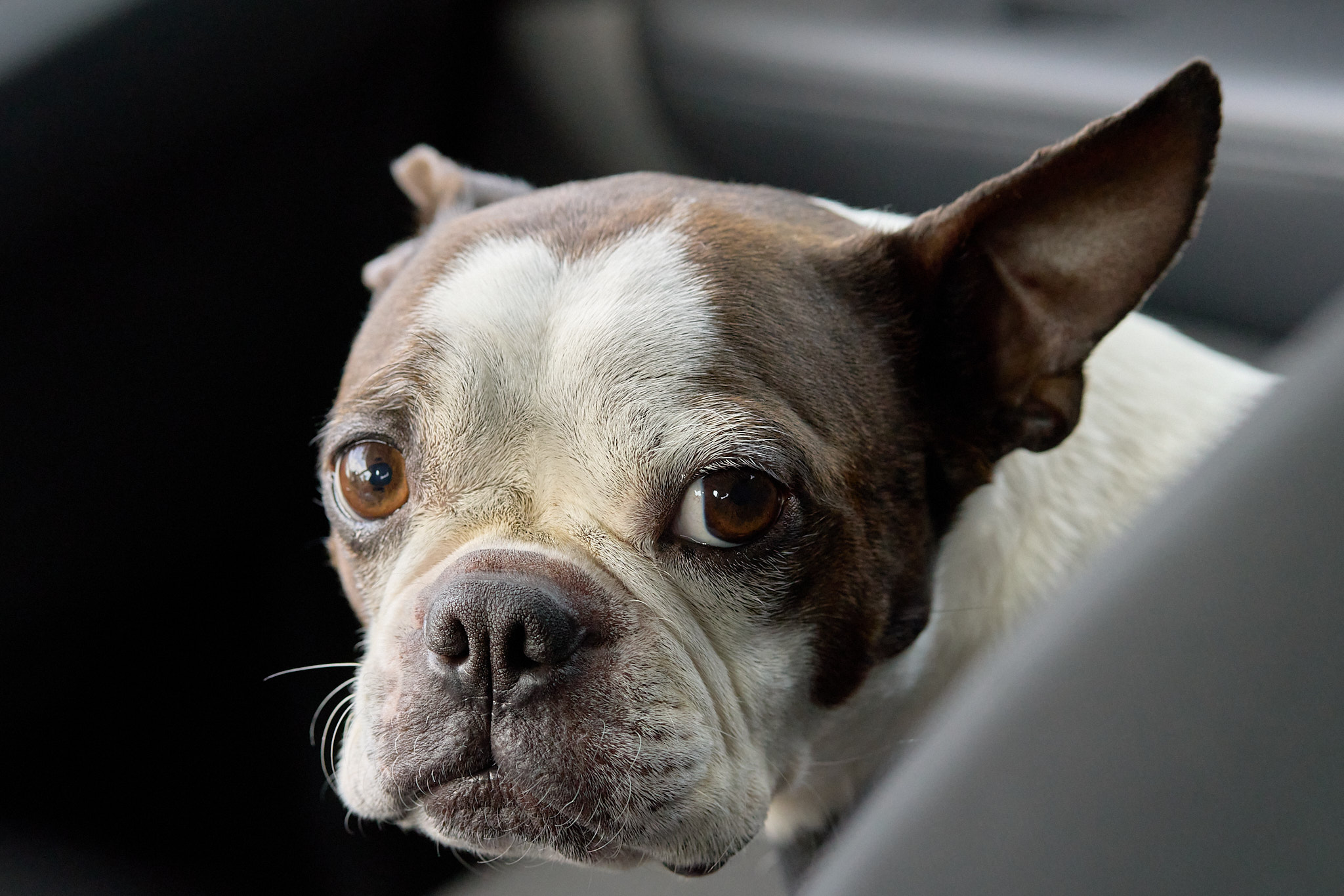 Bulli - SONY - SONY ILCE-7RM3