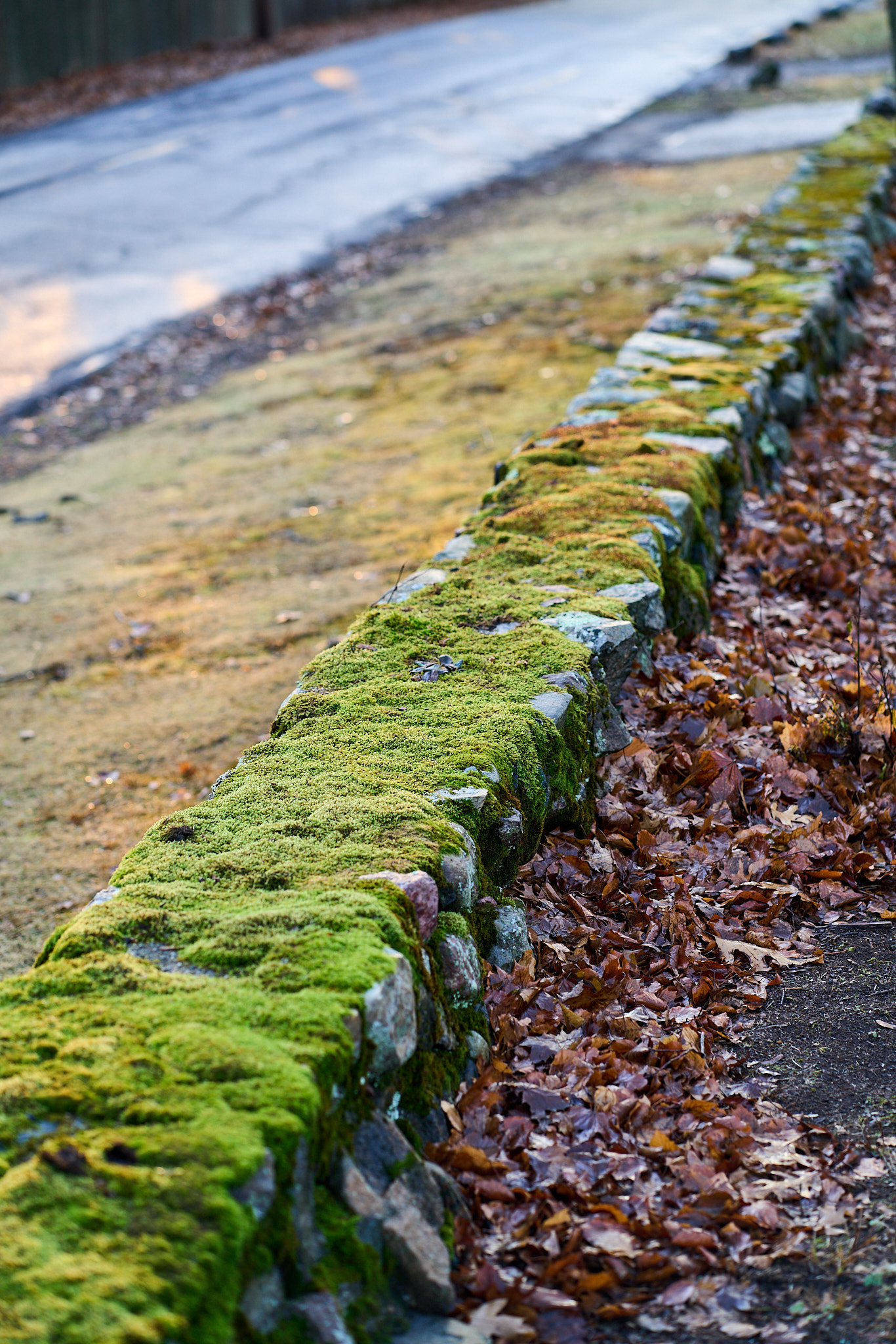 SONY - SONY ILCE-7RM3