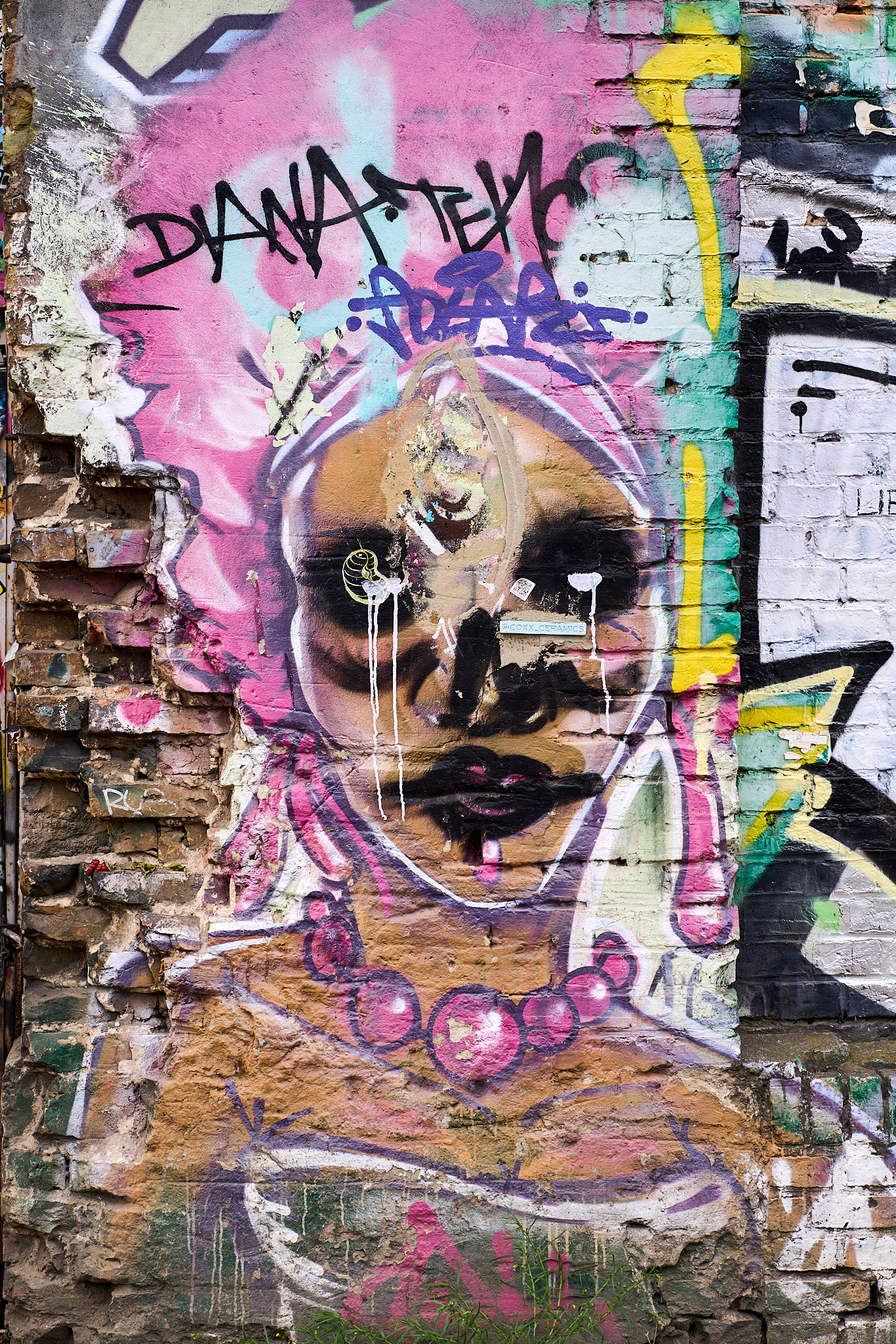 RAW-Gelände - SONY - SONY ILCE-7RM3