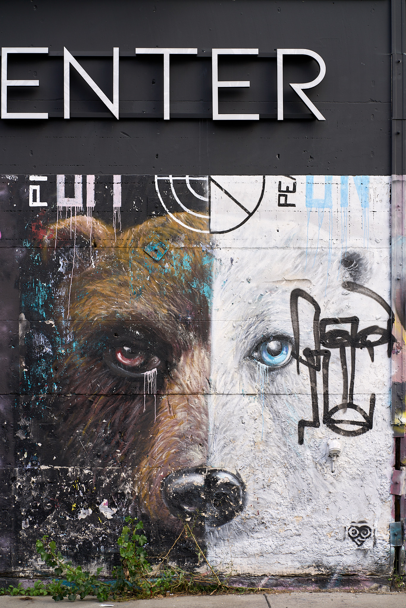 RAW-Gelände - SONY - SONY ILCE-7RM3