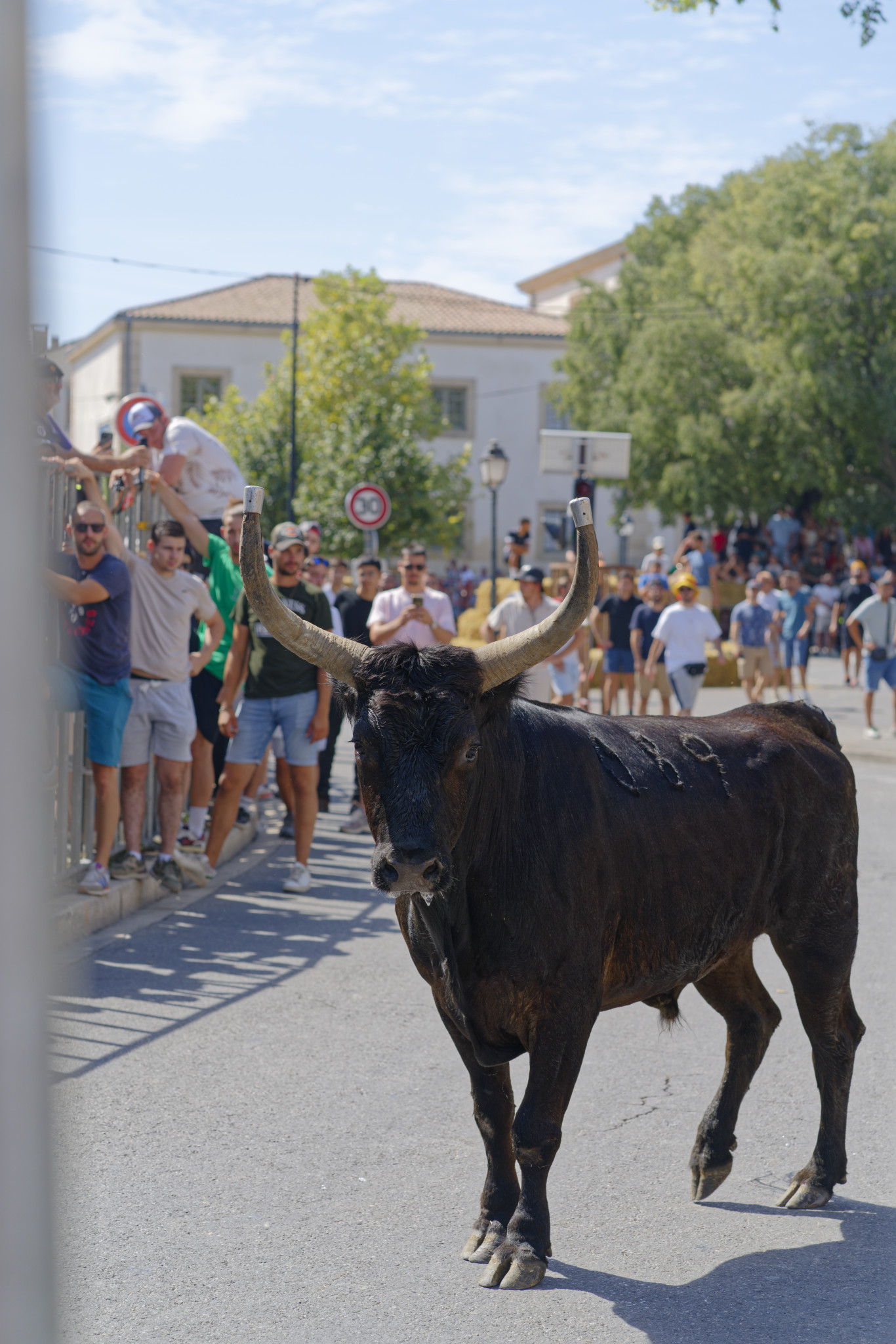 Saint-Rémy-de-Provence - SONY - SONY ILCE-7RM3