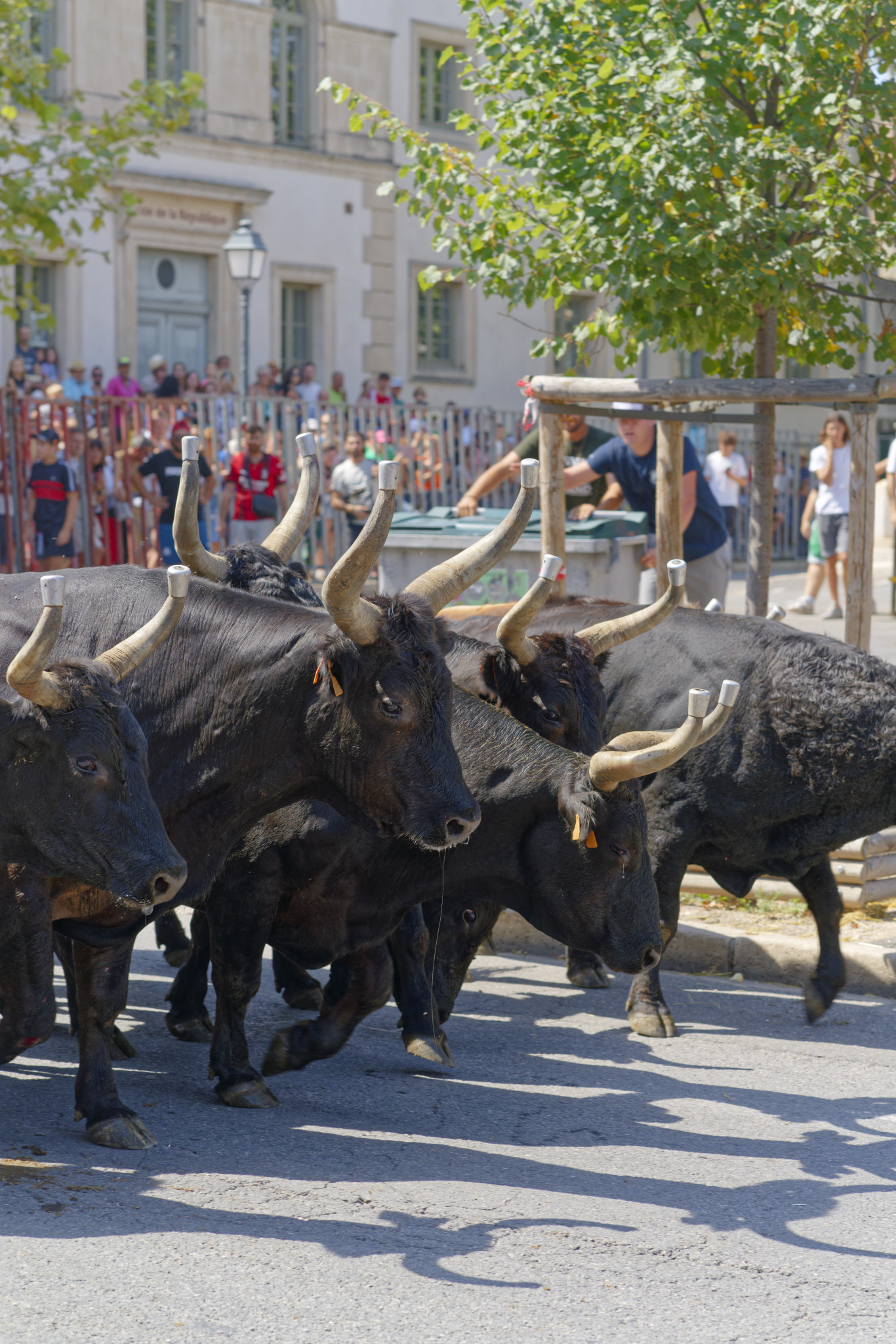 Saint-Rémy-de-Provence - SONY - SONY ILCE-7RM3