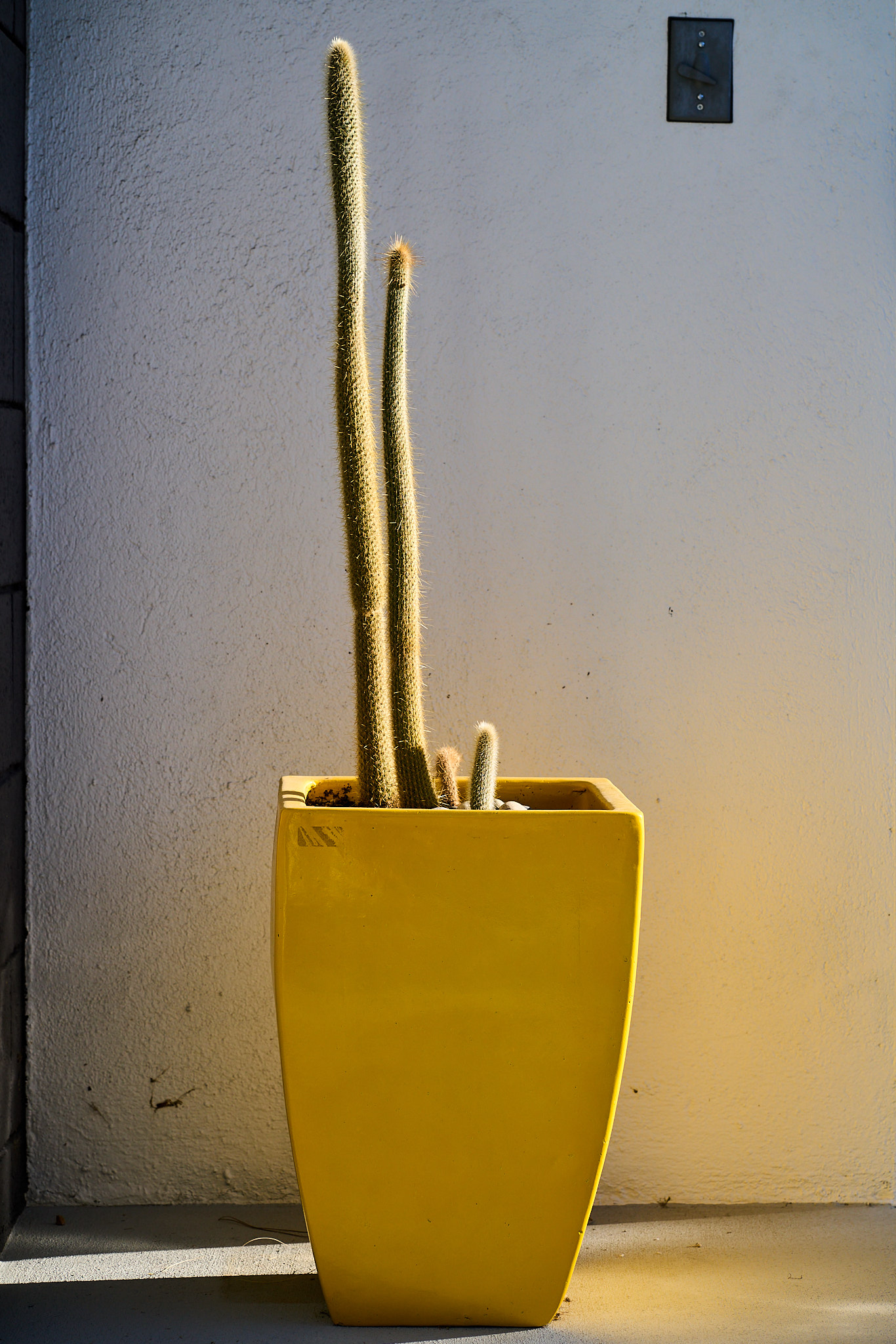 SONY - SONY ILCE-7RM3